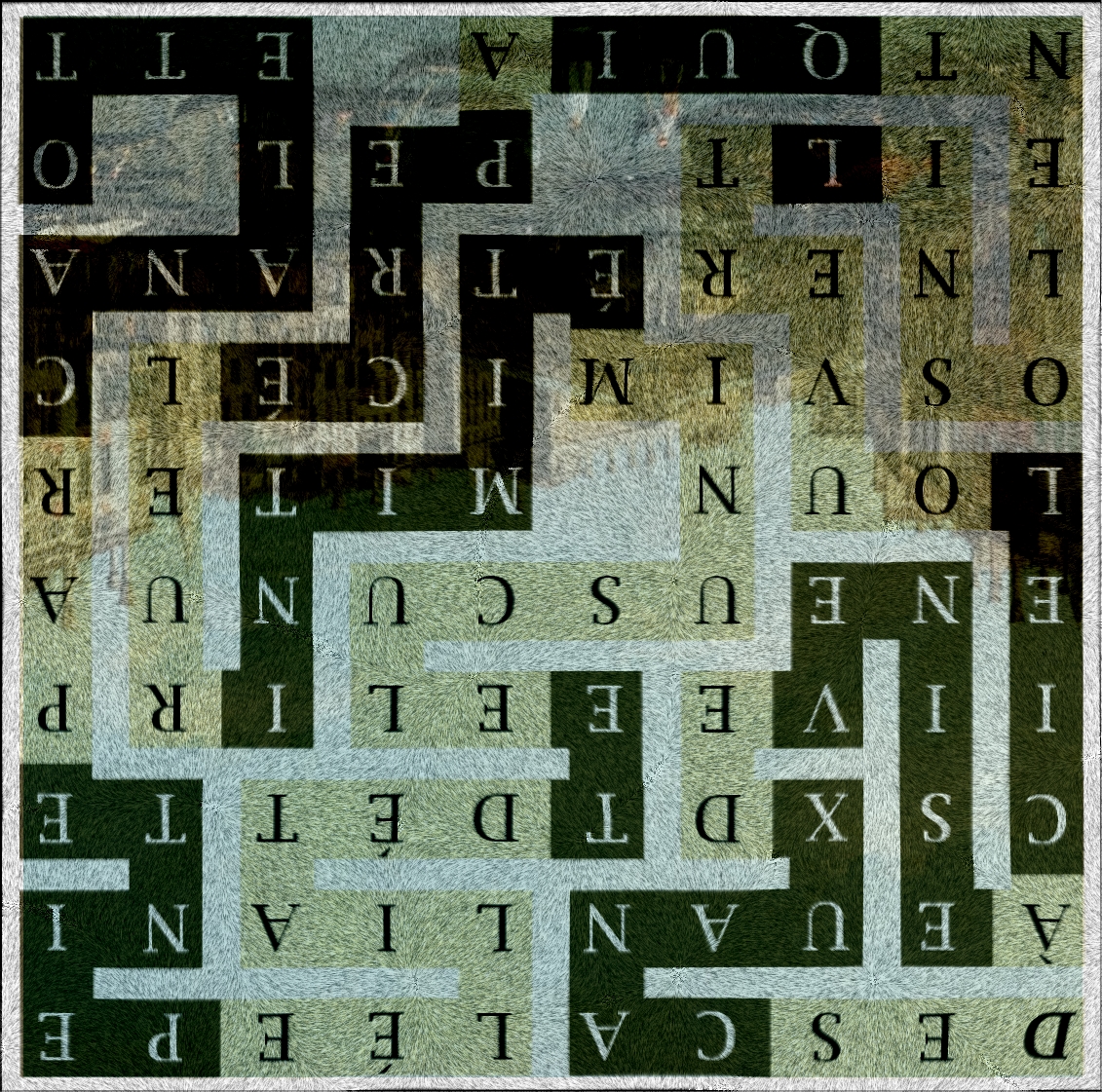 DES CANAUX DE VENISE À CIEL OUVERT - sr