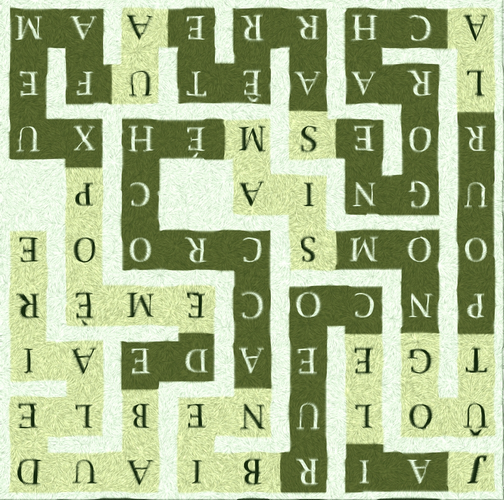 J AI LE COEUR BIEN ACCROCHÉ - sr