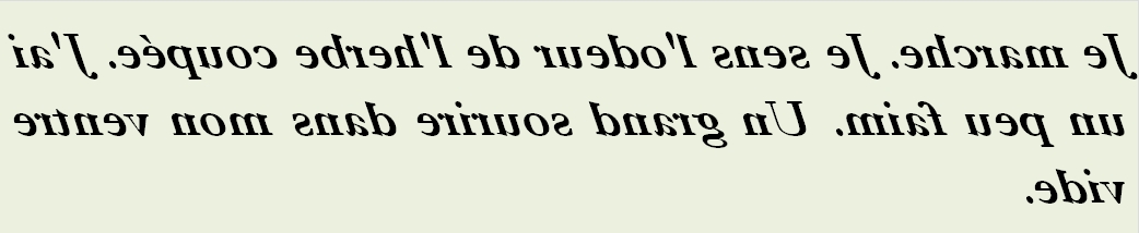 JE MARCHE JE SENS L ODEUR - txt0r