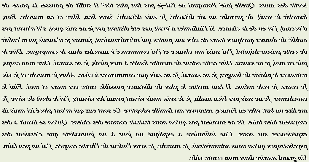 JE MARCHE JE SENS L ODEUR - txt1r