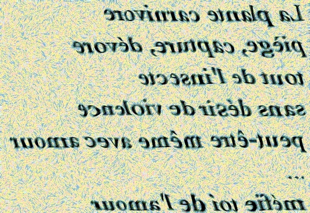 LA PLANTE CARNIVORE PIÈGE - txt0r