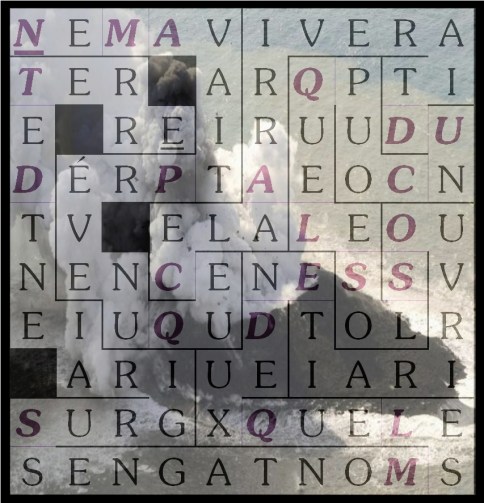 NE M AVAIT PRÉVENU QUE - letcr1-exp