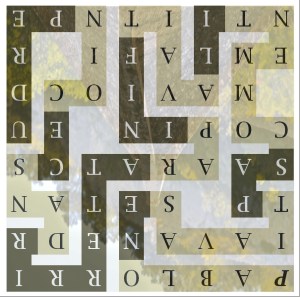 PABLO NE SAVAIT PAS COMMENT - sr