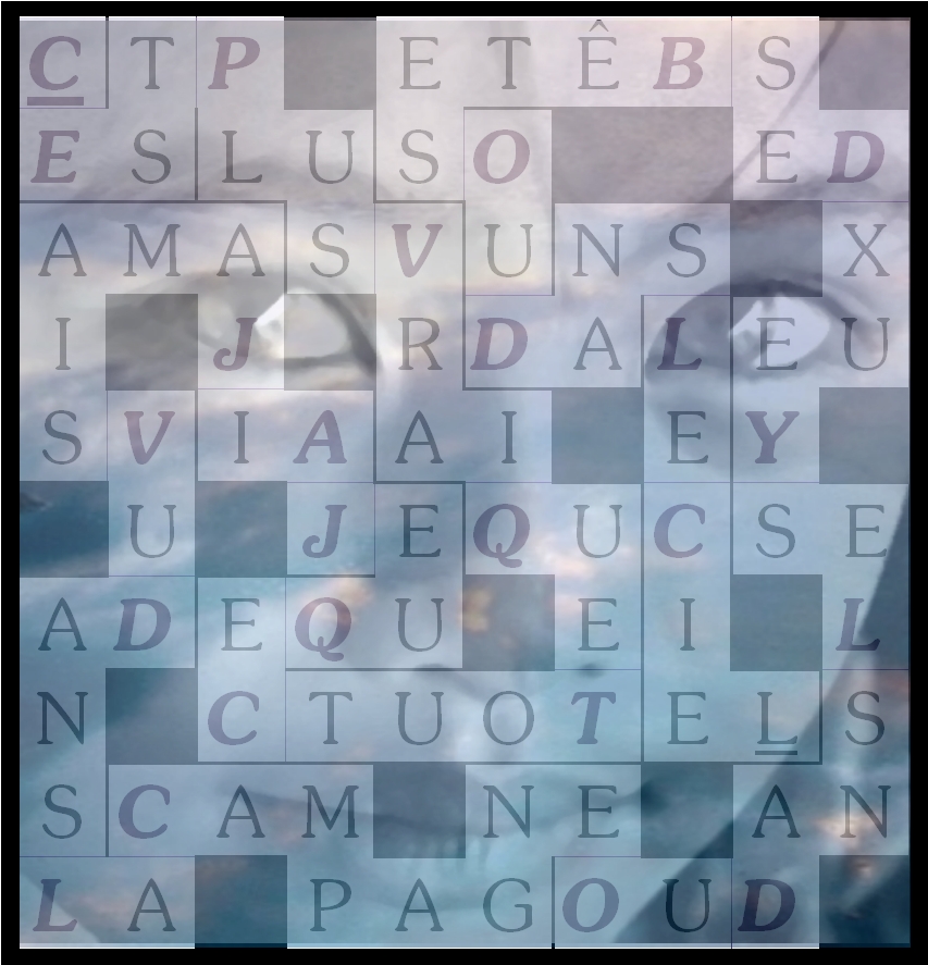 C EST PLUS VRAI QUE TOUT -letcr1-exp