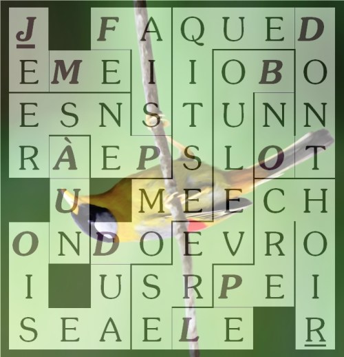 JE ME FAIS PENSER À UN OISEAU-letcr1-exp