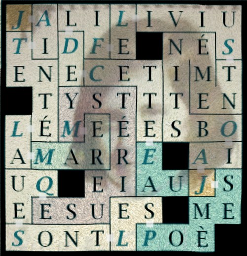 J AI TENTÉ LA MARE MYSTÉRIEUSE-lex2