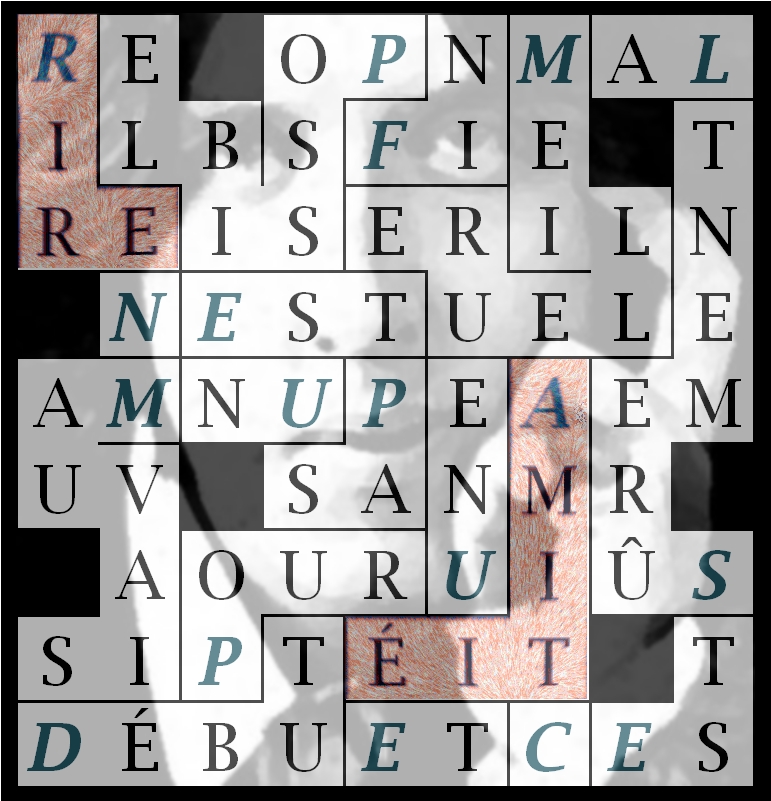 RIRE N EST PAS UN MAUVAIS DÉBUT-lx1