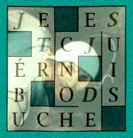 je-trebuche-donc-je-suis-letx5