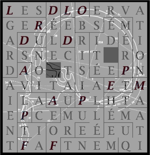 les-delectations-du-regard-avaient-letex