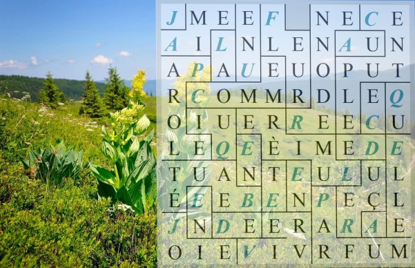 J AIME LA PAROLE QUI COMME UNE FLEUR-letexx