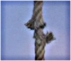 LA CORDE CONDAMNE LE PENDU-im