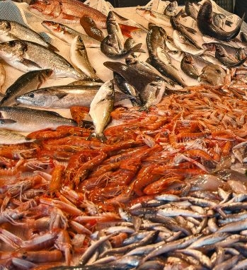 C EST LE PEUPLE DES NOMBREUX-poissons