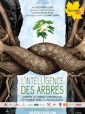 intelligence des arbres