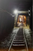 L ESPACE OÙ S EXPRIME NOTRE LIBERTÉ31-img