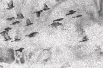 P14 - UNE ODEUR DE DAUBE-image11