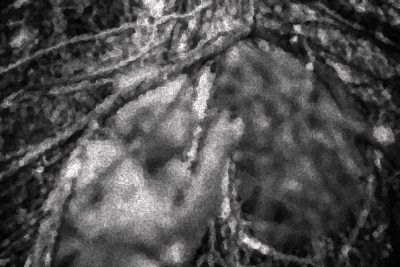 P16 - OUVRIT LA BOUCHE ET APAISA-image