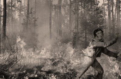 P22 - ÇA SENTAIT LE ROUSSI - image