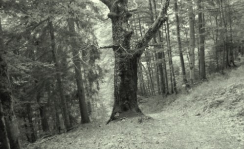 P34 - IL NE S’ AGISSAIT PAS D’ UN MIRAGE-image