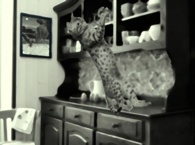 P03-LE CHAT SURPRIS SEMBLA PROJETÉ-image1