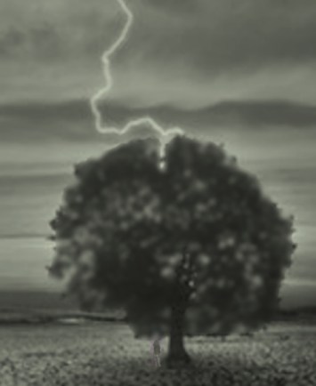 P06-ON RETROUVA GASPARD-image1