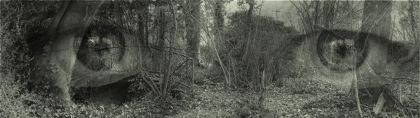 P08-ET LES PLUS MODESTES CHOSES-image1