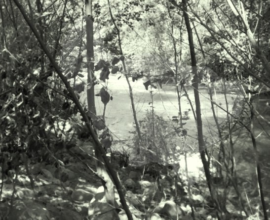 P02-IL DOIT ARRIVER-imaC