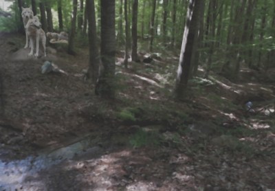 P09-– IL Y A ENCORE -image