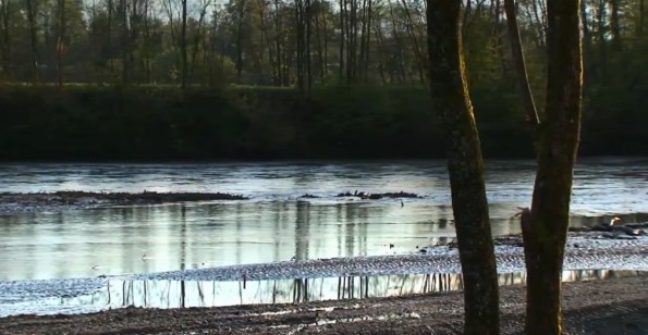 P21-IL ESSAYA DE COUPER LE COURANT-ima4