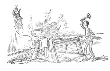 P04A- criquet écrasé 1