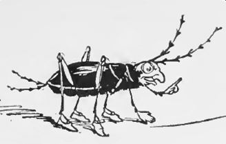 P04A- criquet qui parle