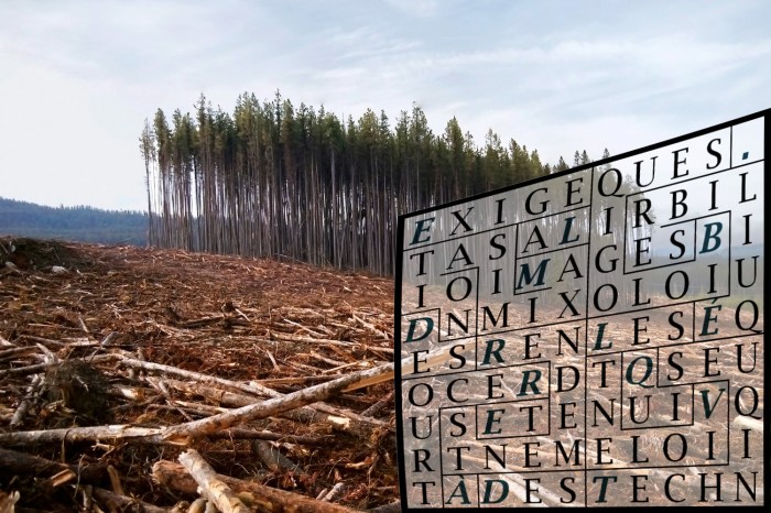 EXIGE LA MAXIMISATION-letima