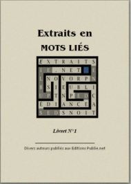 Annonce - Livret Publie.net-