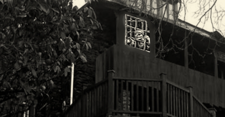 Servitude volontaire 111