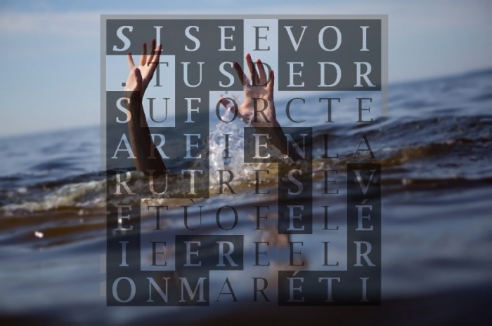 SI TU REFUSE DE VOIR-lenb-i