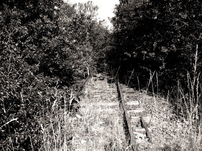 ça m'manque 06 avril 2020-1