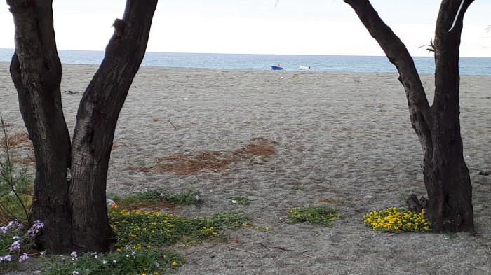 ça m'manque 07 avril 2020