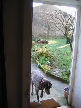 ça m'manque 08 avril 2020tris