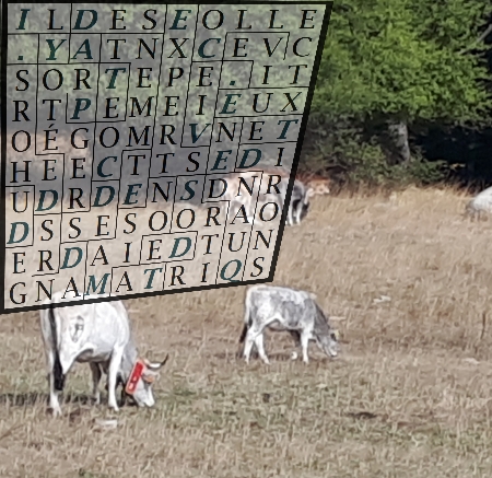 JA-02-IL Y A DES EXPERTS2