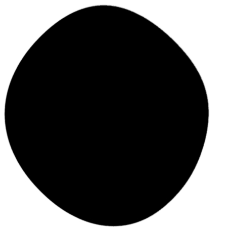 31FIN-Les Dépossédés --IMA